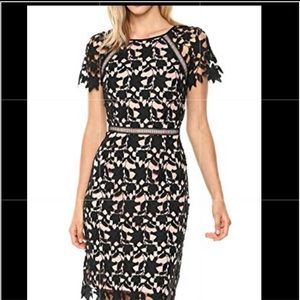 Tan and Black Adrianna Papell dress